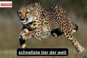 Schnellste Tier der Welt